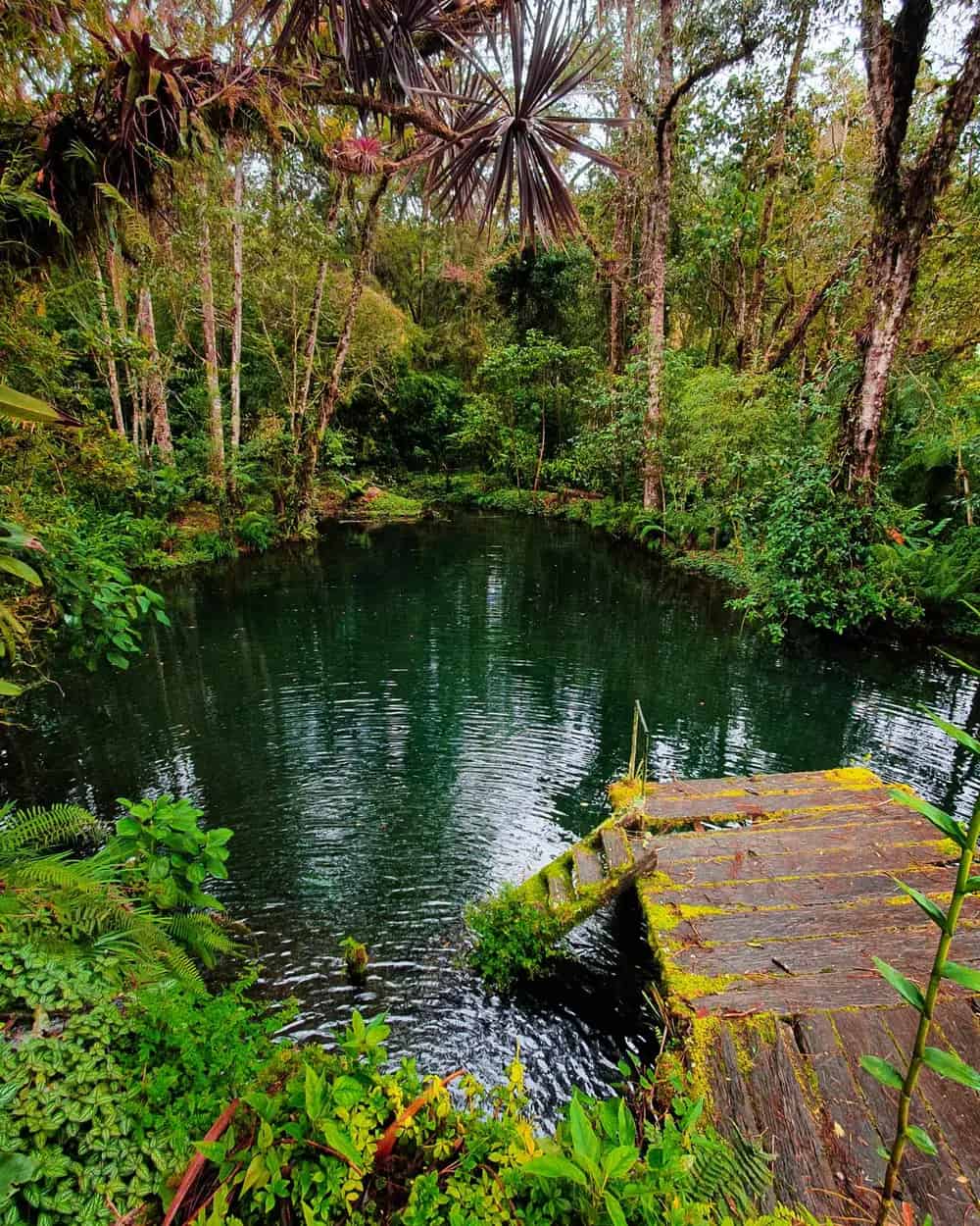 Finca Drácula