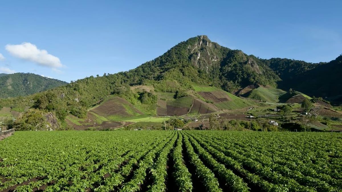 Cerro Punta